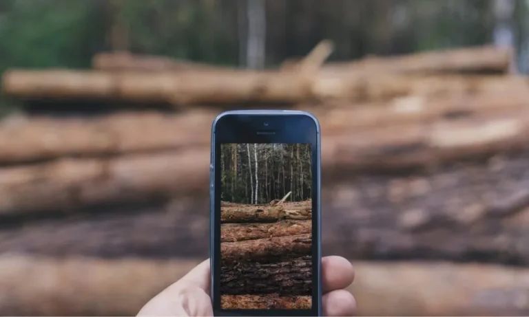 6 Best Hunting Apps for Android in 2024